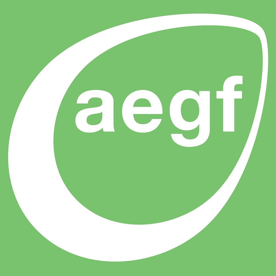 The Advantage Early Growth Fund logo